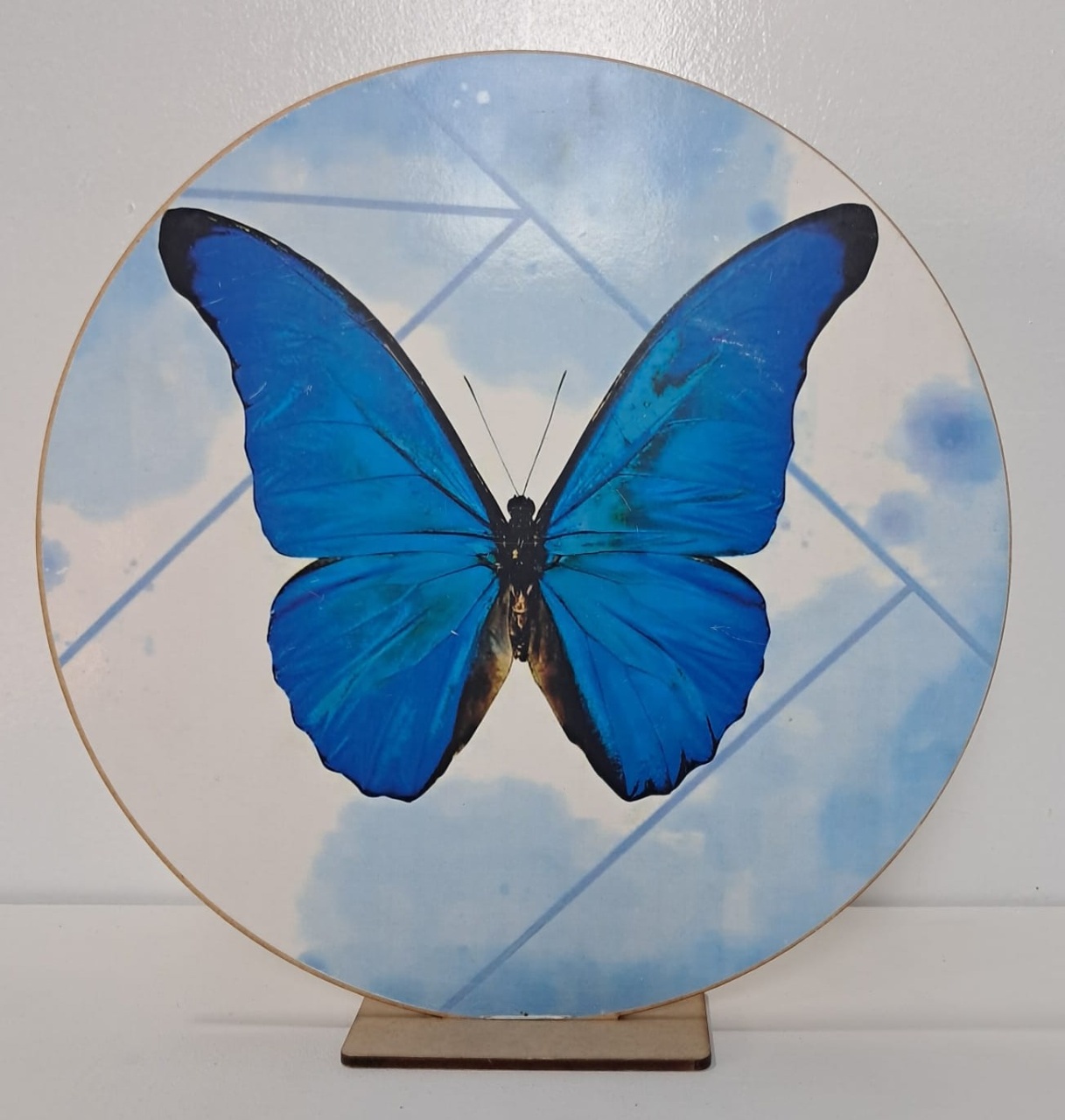 Display de Borboleta Azul - Stefane Sales 