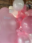 Decoração Barbie - Modelo Orgânico - imagem 3