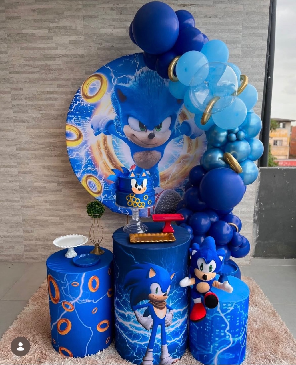 Decoração Infantil P - Sonic  - Me Pegue Monte