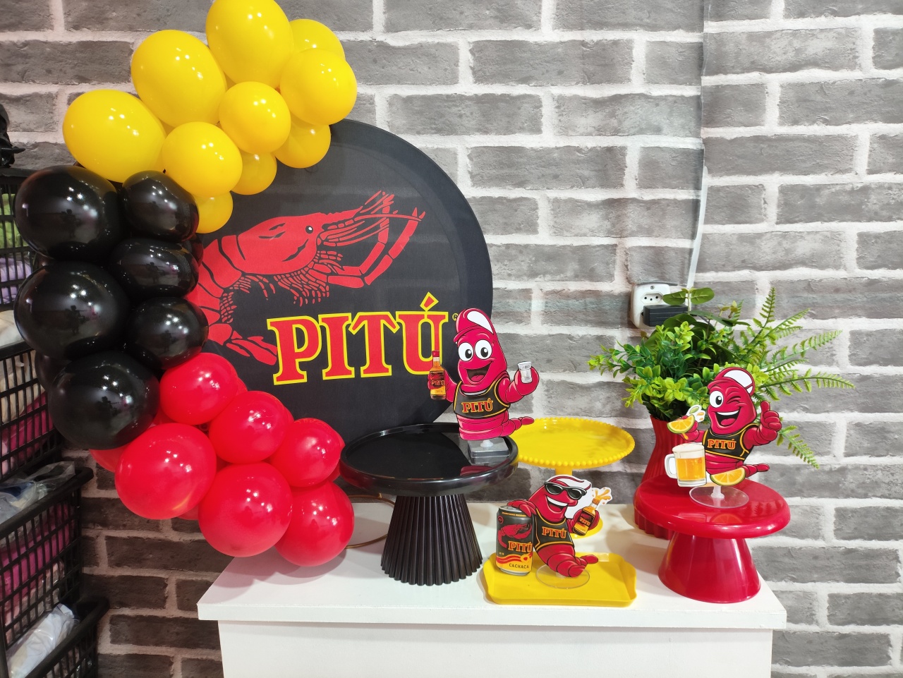 Kit Festa Na Mesa Pitu - MOURA EVENTOSS