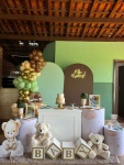 Chá de Bebe Verde E Marrom - imagem 1