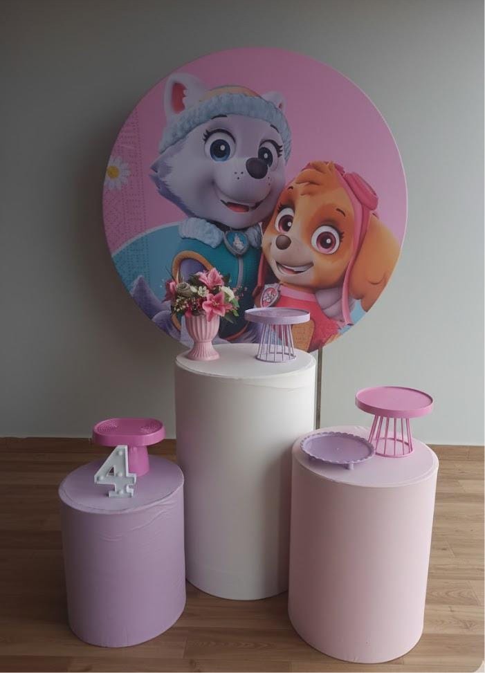 Lok Patrulha Canina Menina Premium - Biscuit's Mania 