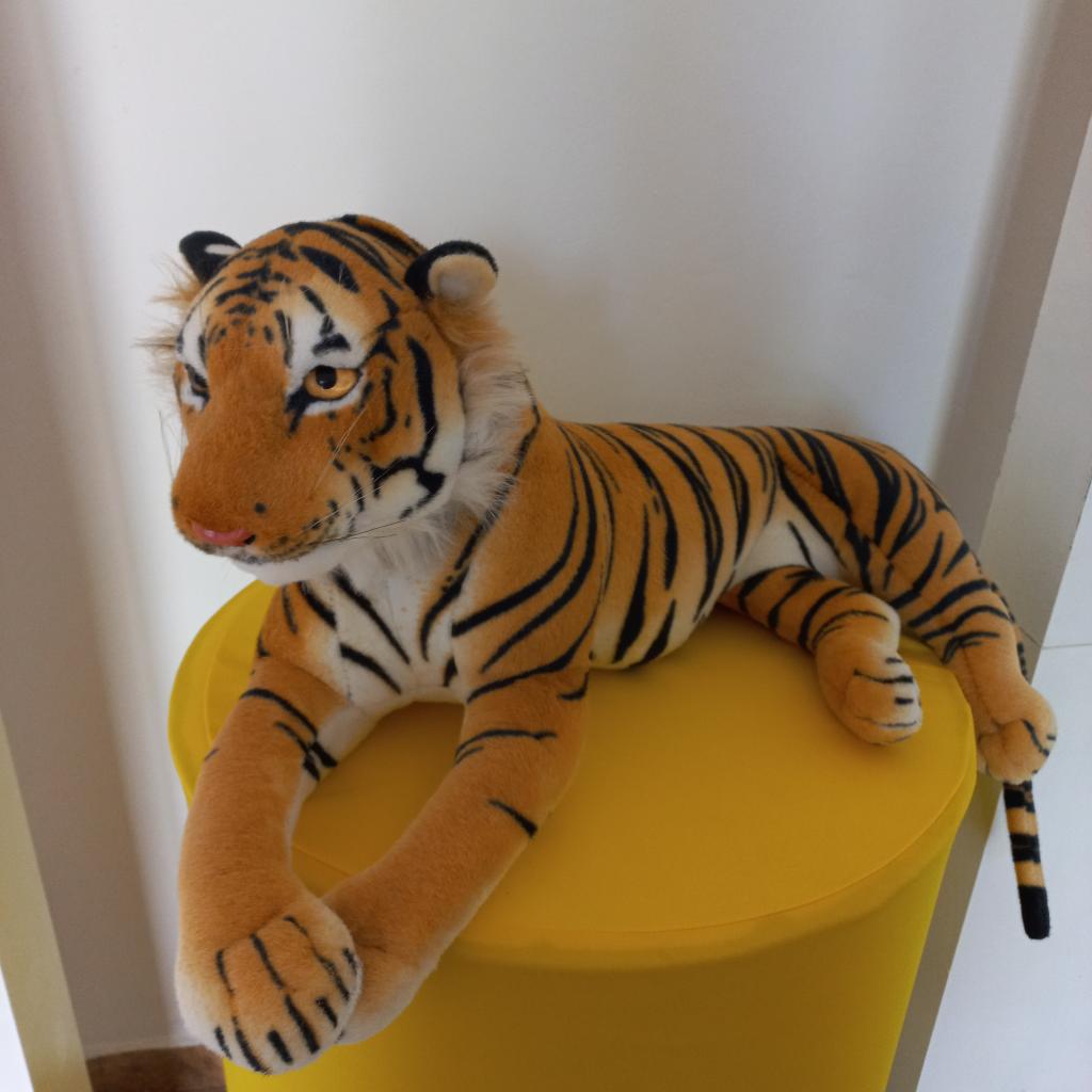 Tigre Elucia de Chão - alegria em festa