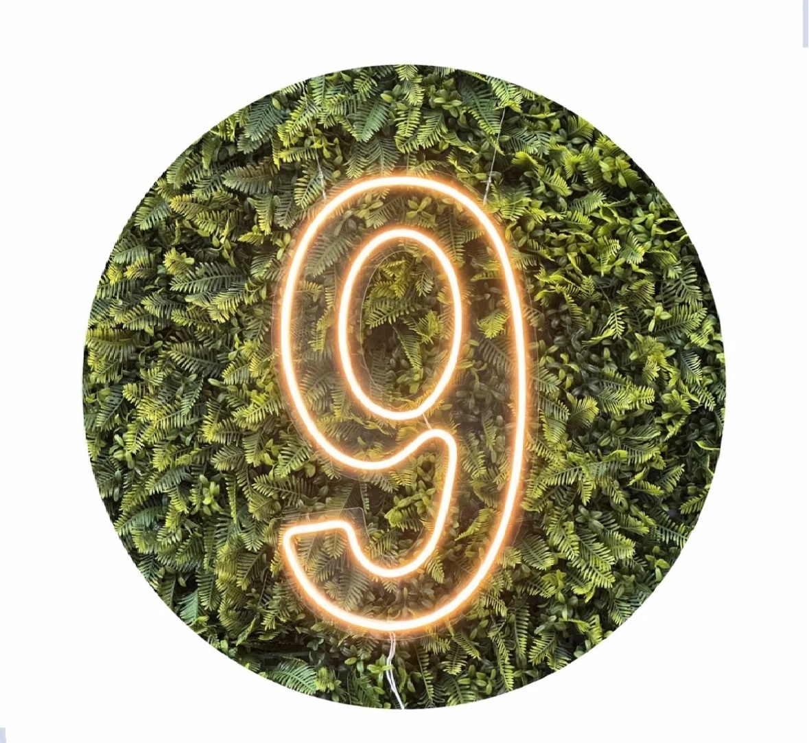Número 9 de Led - Afestapegueemonte