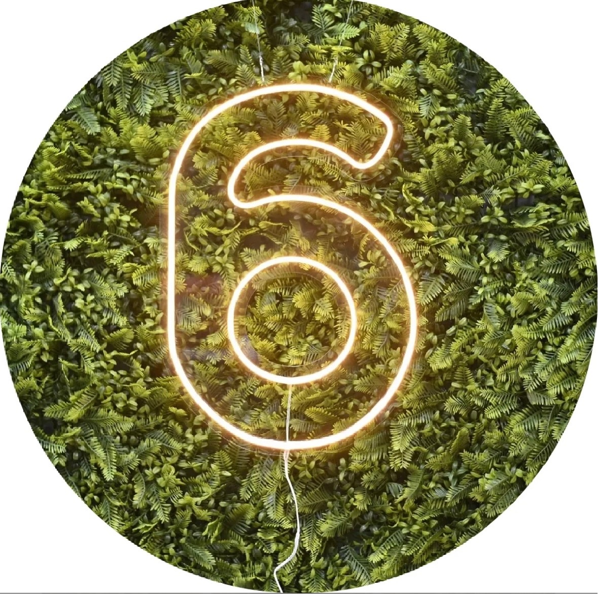 Número 6 de Led - Afestapegueemonte