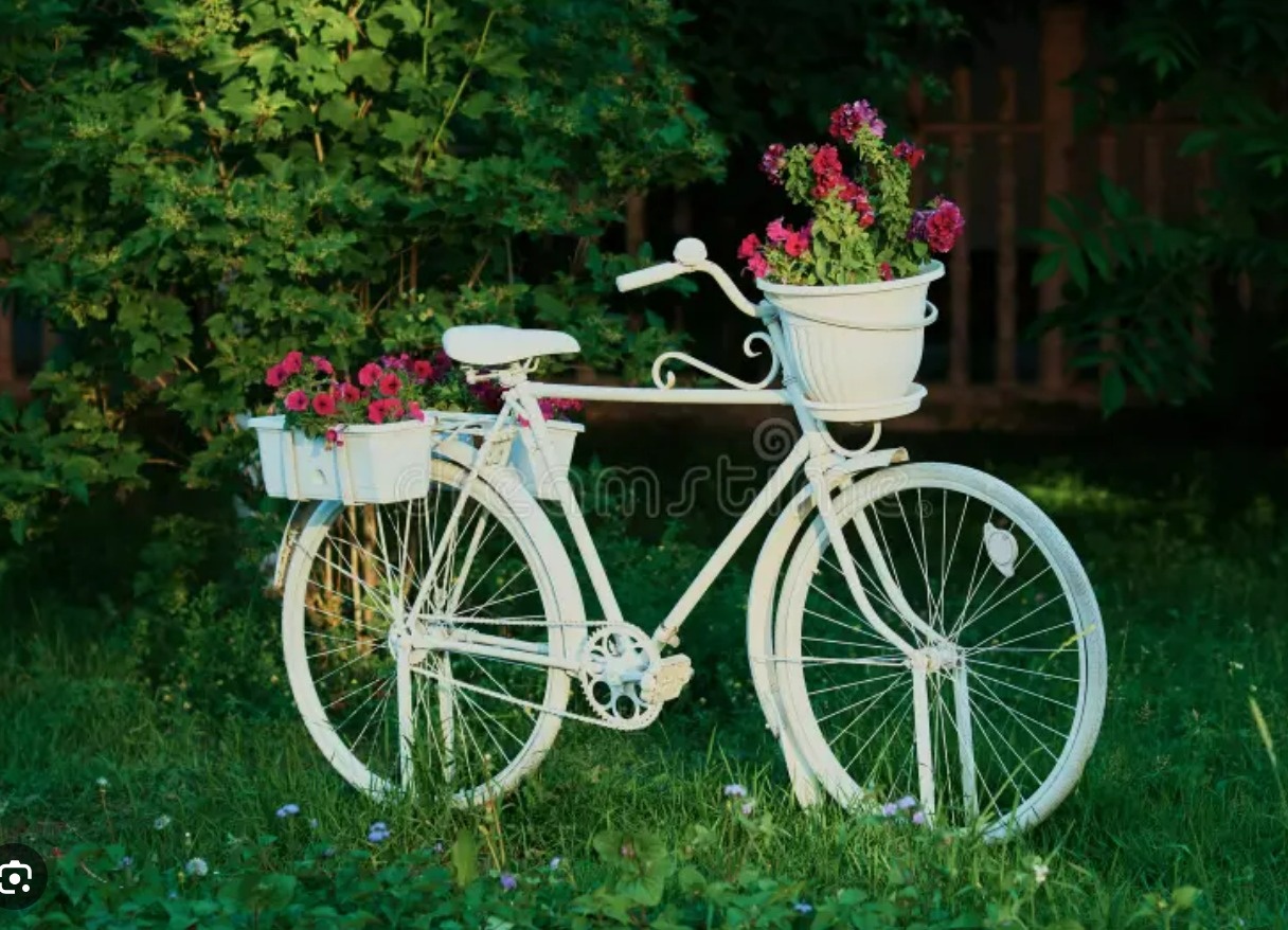 Bicicleta Branca - Tamiresloquefestas