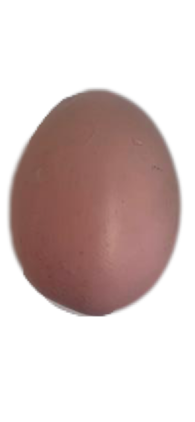 Ovinho de Páscoa Rosa - Pegue e Dekore