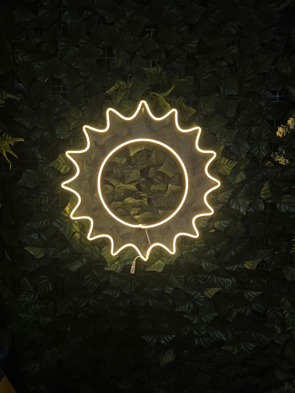 Led Sol - Pegue e Dekore