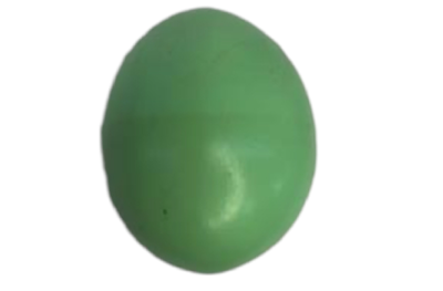 Ovinho Páscoa Verde - Pegue e Dekore