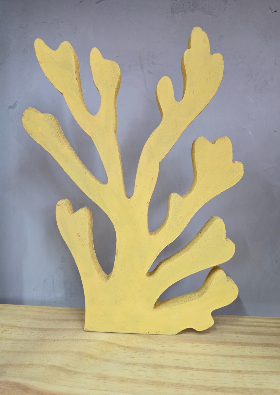 Display 3D Alga Marinha - Pegue e Dekore