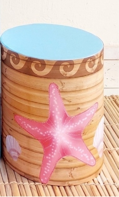 Capa de Cilindro Moana P/ Estrela Do Mar - Pegue e Dekore