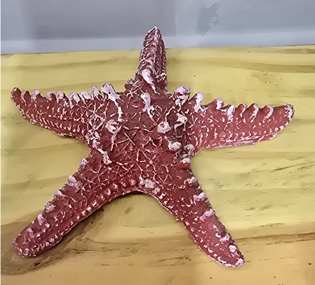 Estrela Do Mar Vermelho Resina - Pegue e Dekore