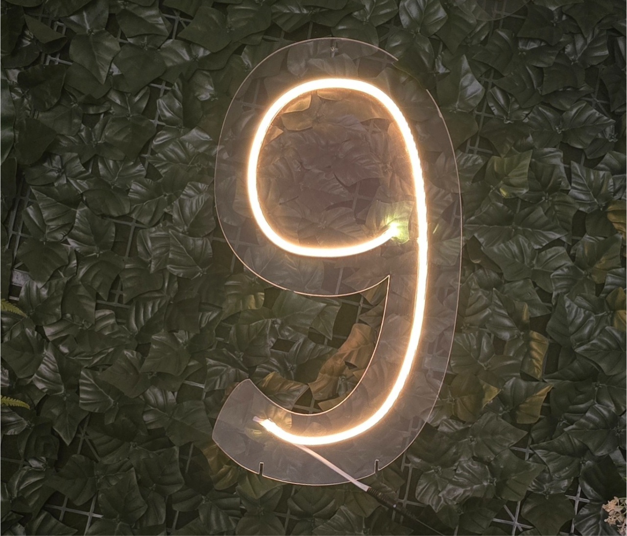 Led Neon 9 (Nove) - Pegue e Dekore