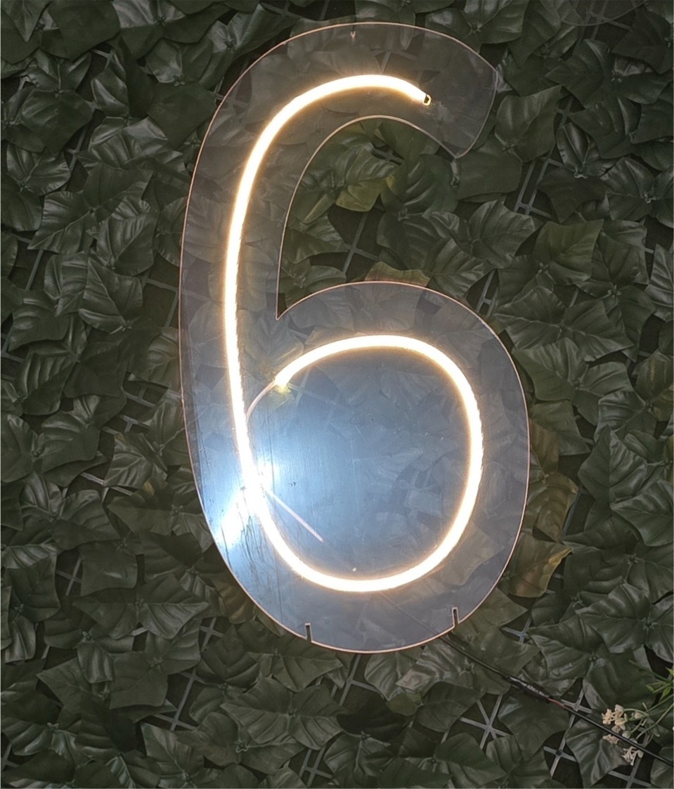 Led Neon 6 (Seis) - Pegue e Dekore