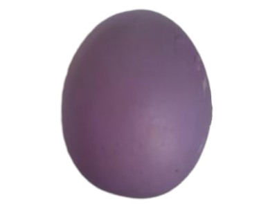 Ovinho de Páscoa Roxo - Pegue e Dekore