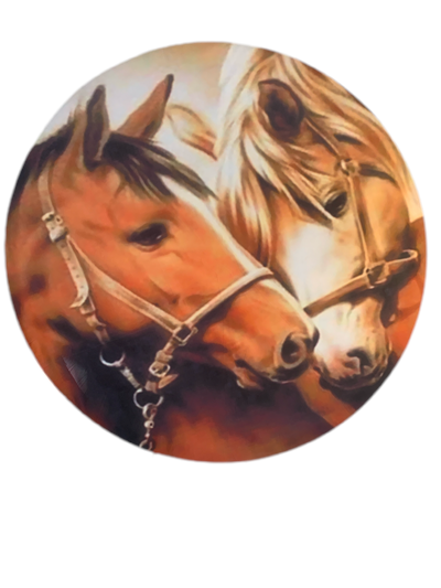 Painel Sublimado Cavalo - Pegue e Dekore