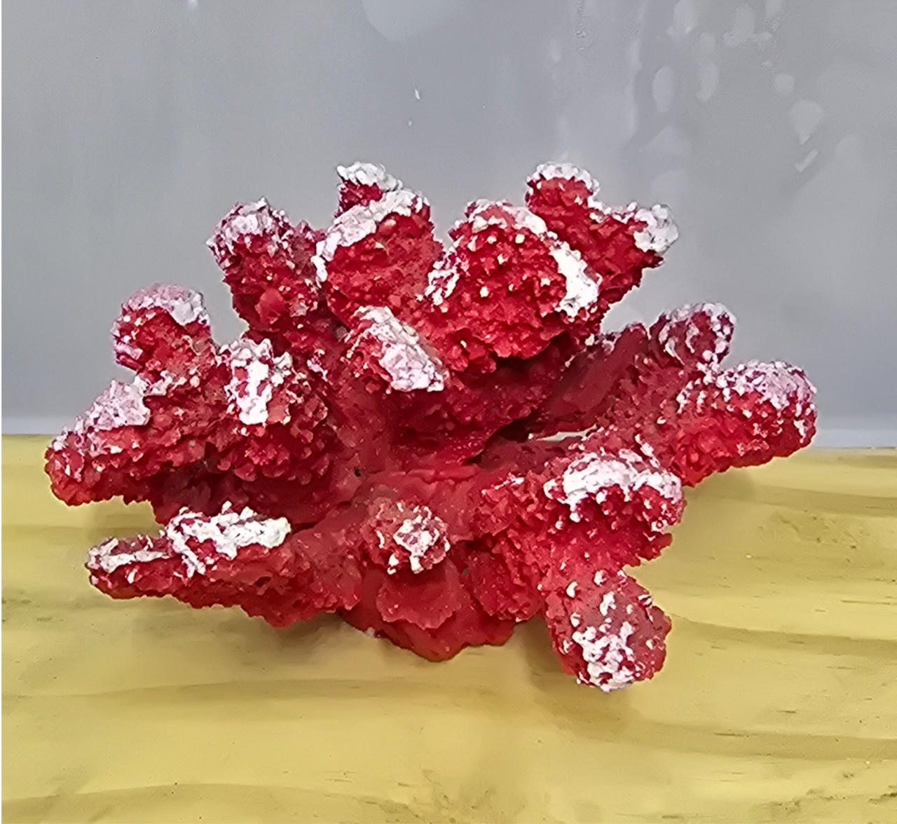 Coral Vermelho Resina - Pegue e Dekore