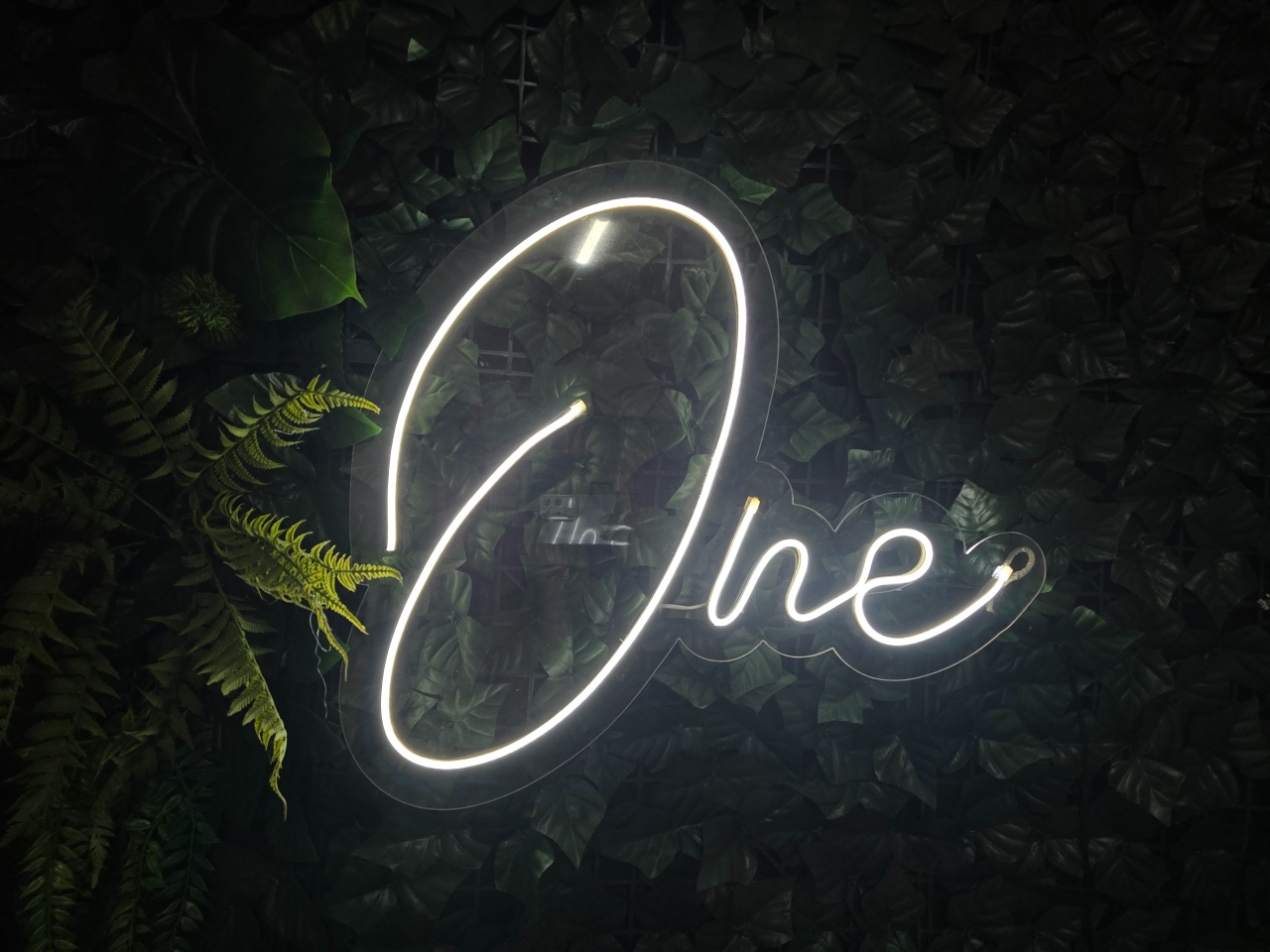 Led Neon One - Pegue e Dekore