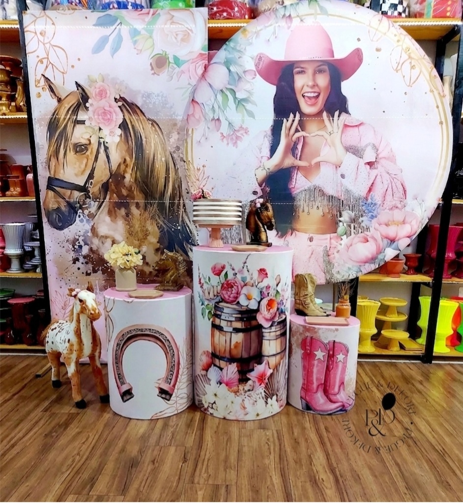 Kit Elegance Ana Castela - Coleção: Boiadeira - Pegue e Dekore