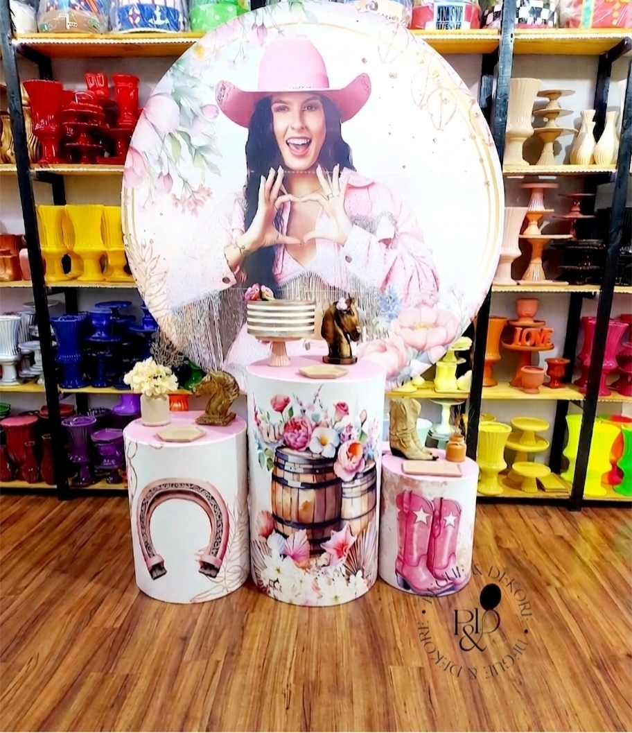 Kit Essencial Ana Castela- Coleção:boiadeira - Pegue e Dekore