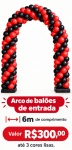 Arco de Balões Entrada - imagem 2