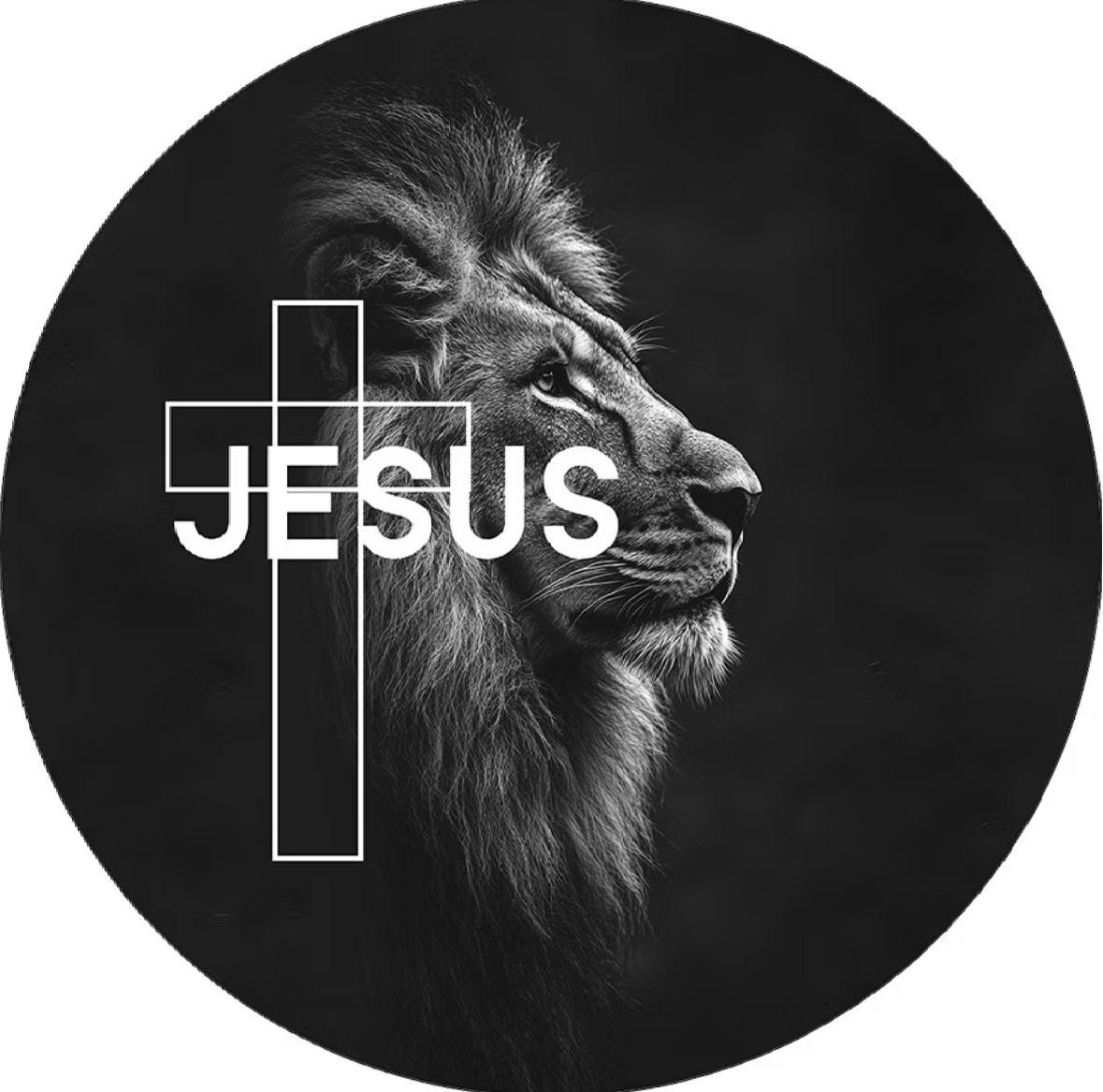 Capa Leão / Jesus  - Dona Amora Decoração 