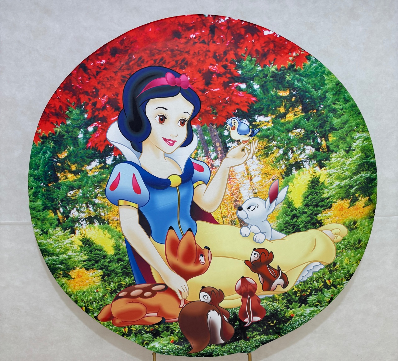 Capa Branca de Neve - Dona Amora Decoração 