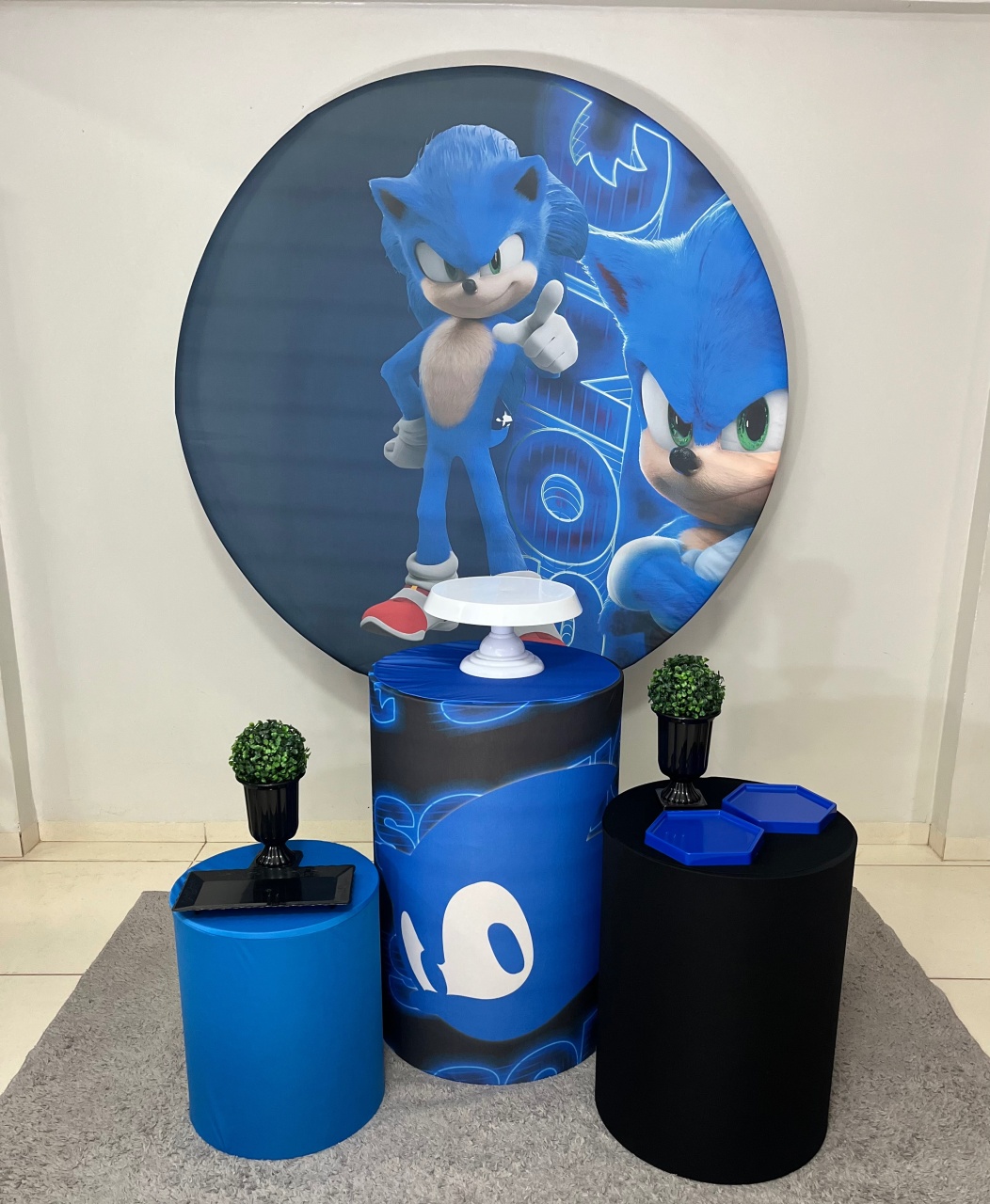 Sonic 1 - Dona Amora Decoração 