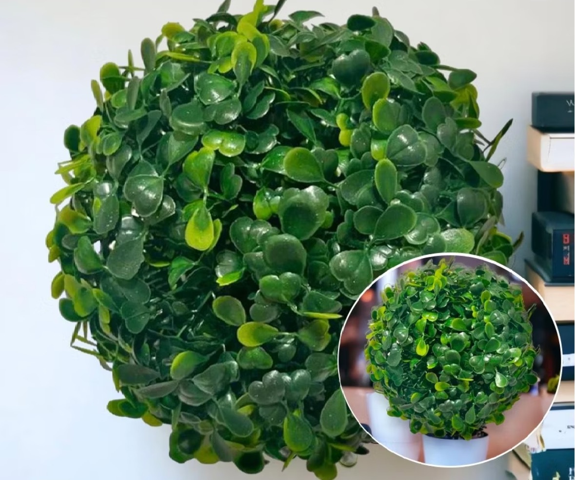 Buchinho 18Cm - Dona Amora Decoração 