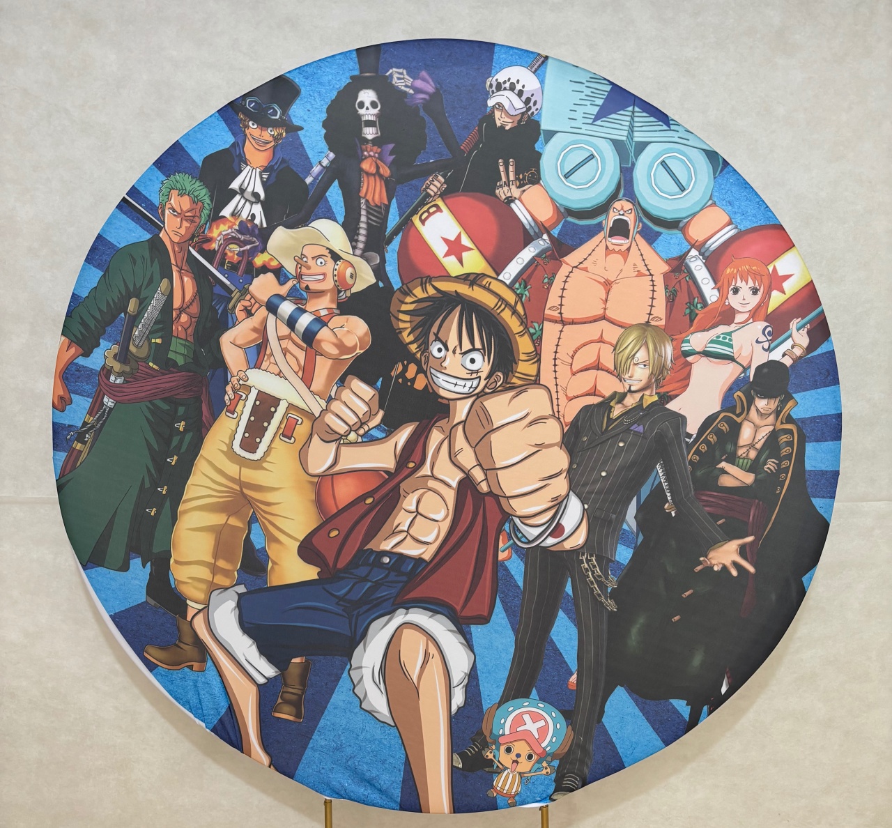 Capa One Piece - Dona Amora Decoração 