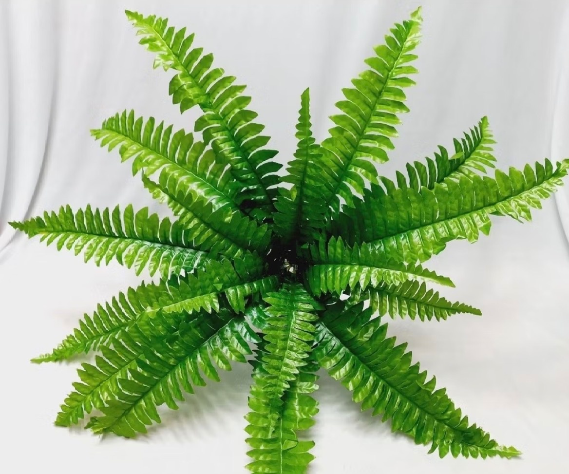 Samambaia Artificial  - Dona Amora Decoração 