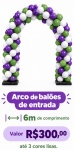 Arco de Balões Entrada - imagem 1