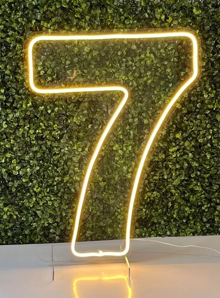Número de Led - 7 - NaianeRochafestas
