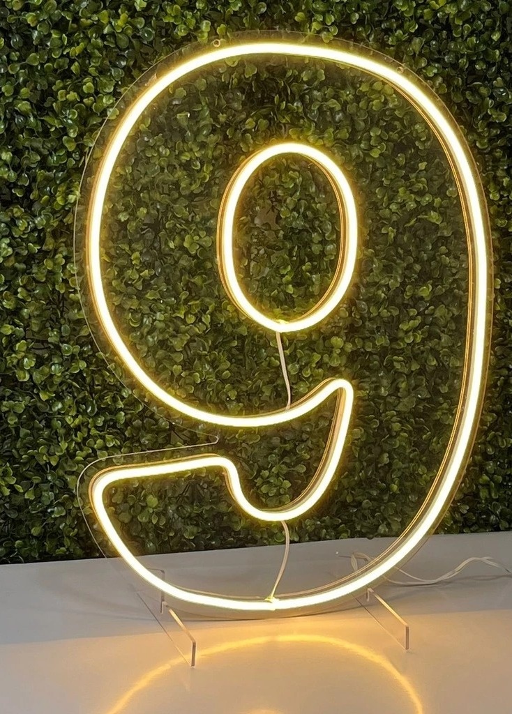 Número de Led - 9 - NaianeRochafestas