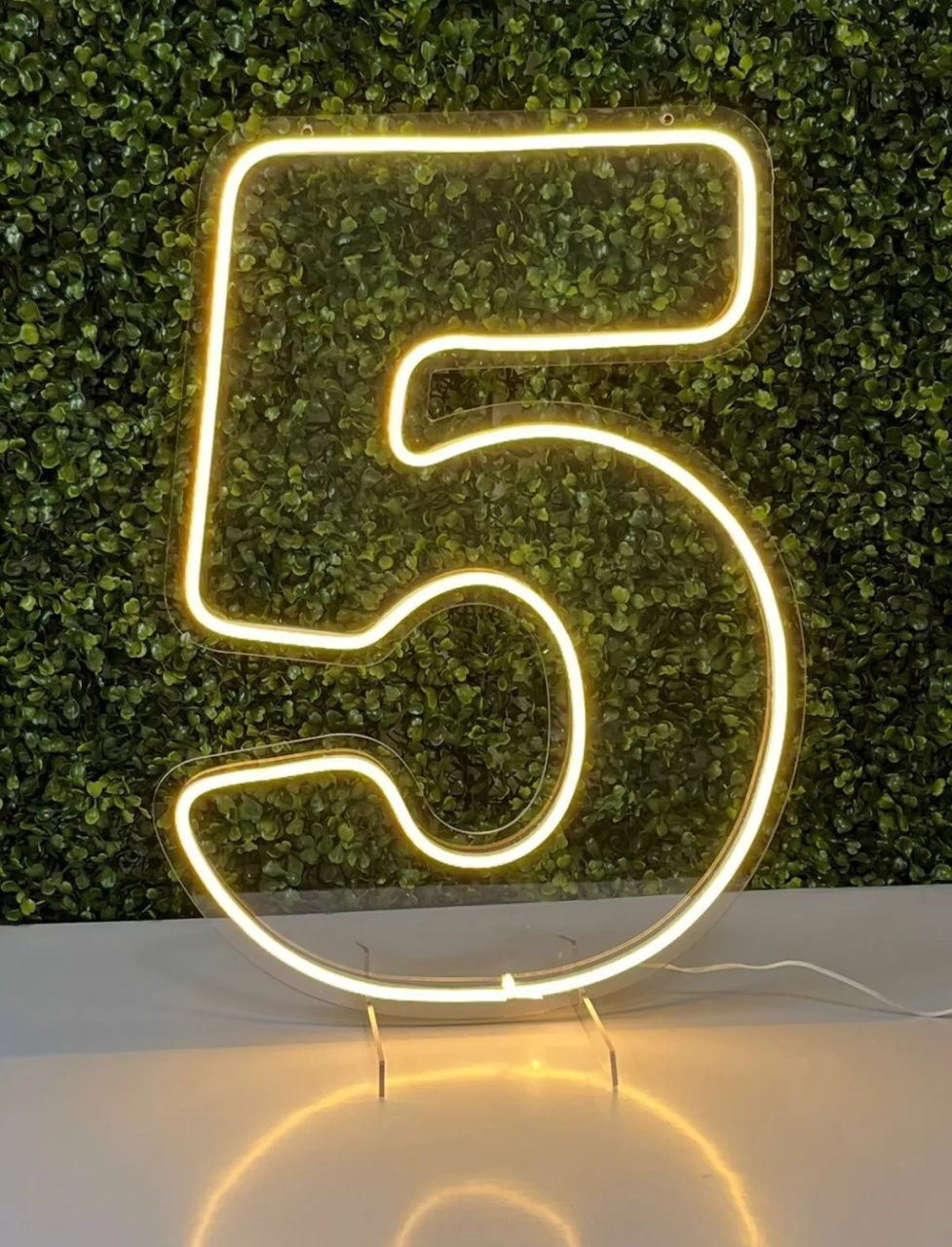 Número de Led - 5 - NaianeRochafestas
