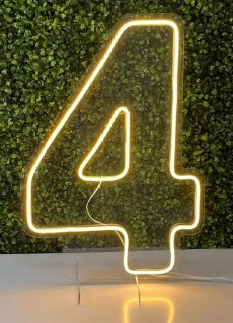 Número de Led - 4 - NaianeRochafestas