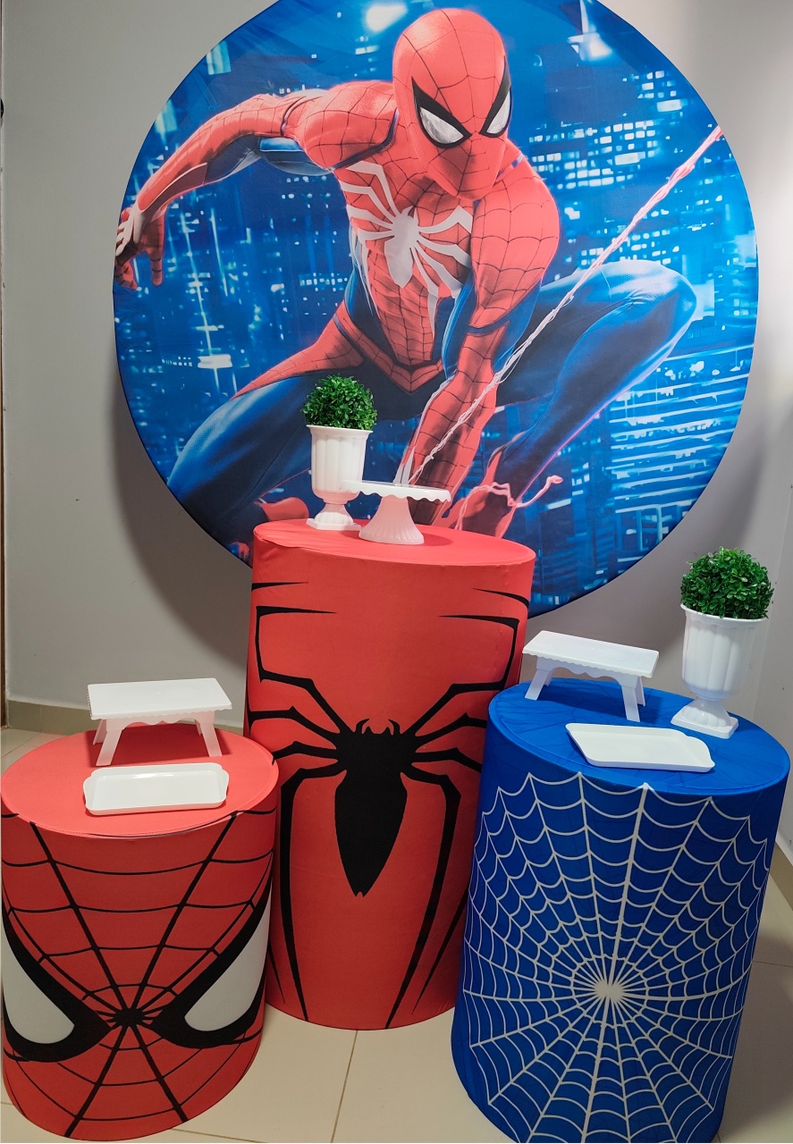 Kit Homem Aranha  - MJ Pegue e Monte 