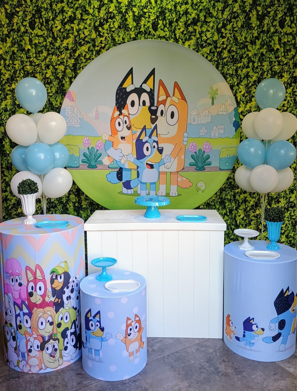Bluey Menino - Kit Prata - Pegue e Brilha Decorações 