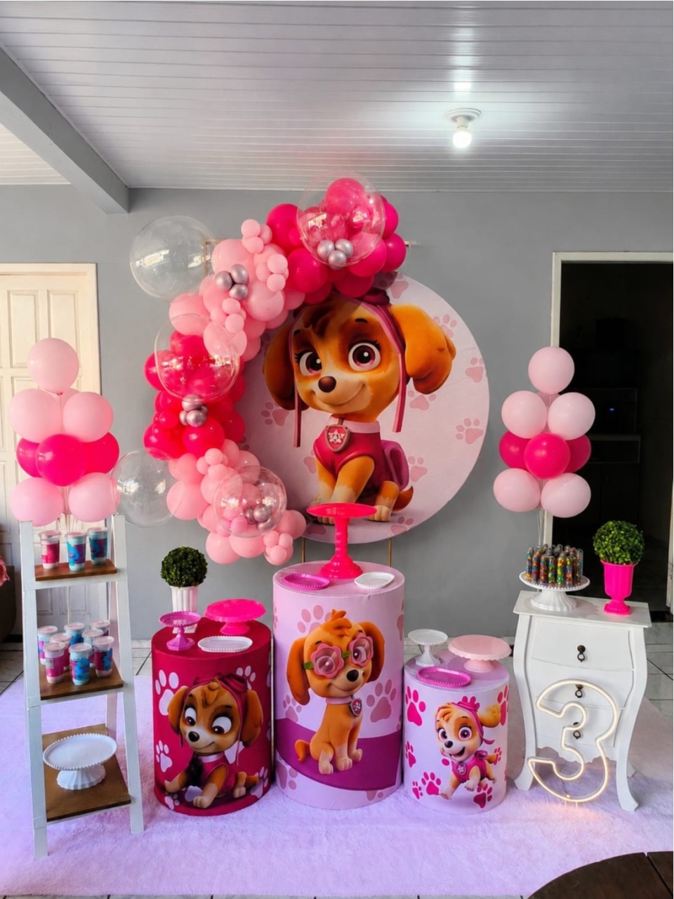 Sky Patrulha Canina - Kit Vitrine - Pegue e Brilha Decorações 