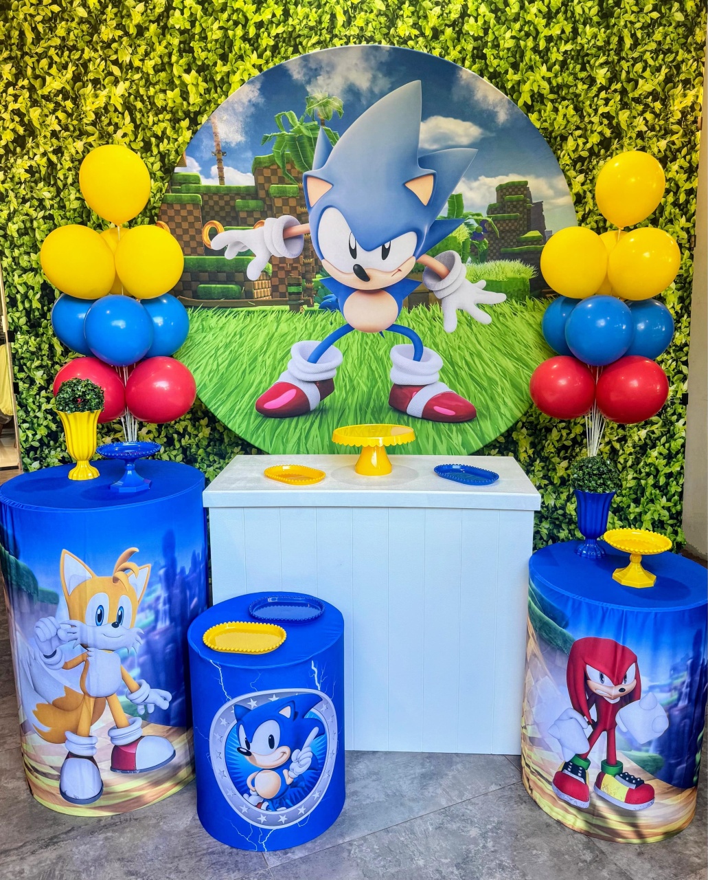 Sonic 01 - Kit Prata  - Pegue e Brilha Decorações 