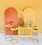 Alugue Tema de Festa Decoração  Rose Com Dourado  - imagem 1