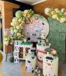 Alugue Tema Para Festa Decoração Safari Menino (Modelo 2 ) - imagem 2