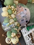 Safari Baby - imagem 2