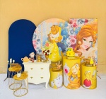 Alugue Tema Para Festa Bela E A Fera (Modelo3) - imagem 1
