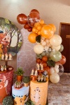 Alugue Tema Para Festa Decoração Rei Leão (Modelo 3) - imagem 2