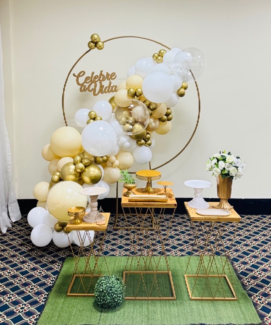 Alugue Tema Para Festa Decoração Celebre A Vida  - Abra Cadabra Pegue e Monte
