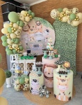 Alugue Tema Para Festa Decoração Safari Menino (Modelo 2 ) - imagem 1