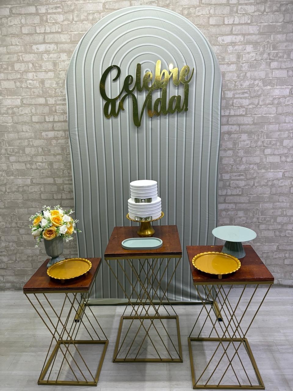 Celebre A Vida  Kit Prata    - Iara Maria Arruda da Silva