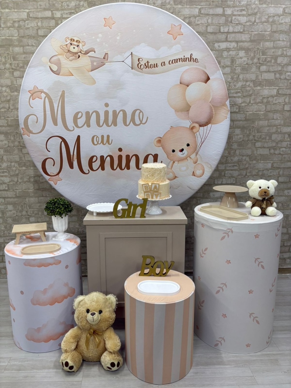 Menino Ou Menina Kit Ouro - Iara Maria Arruda da Silva