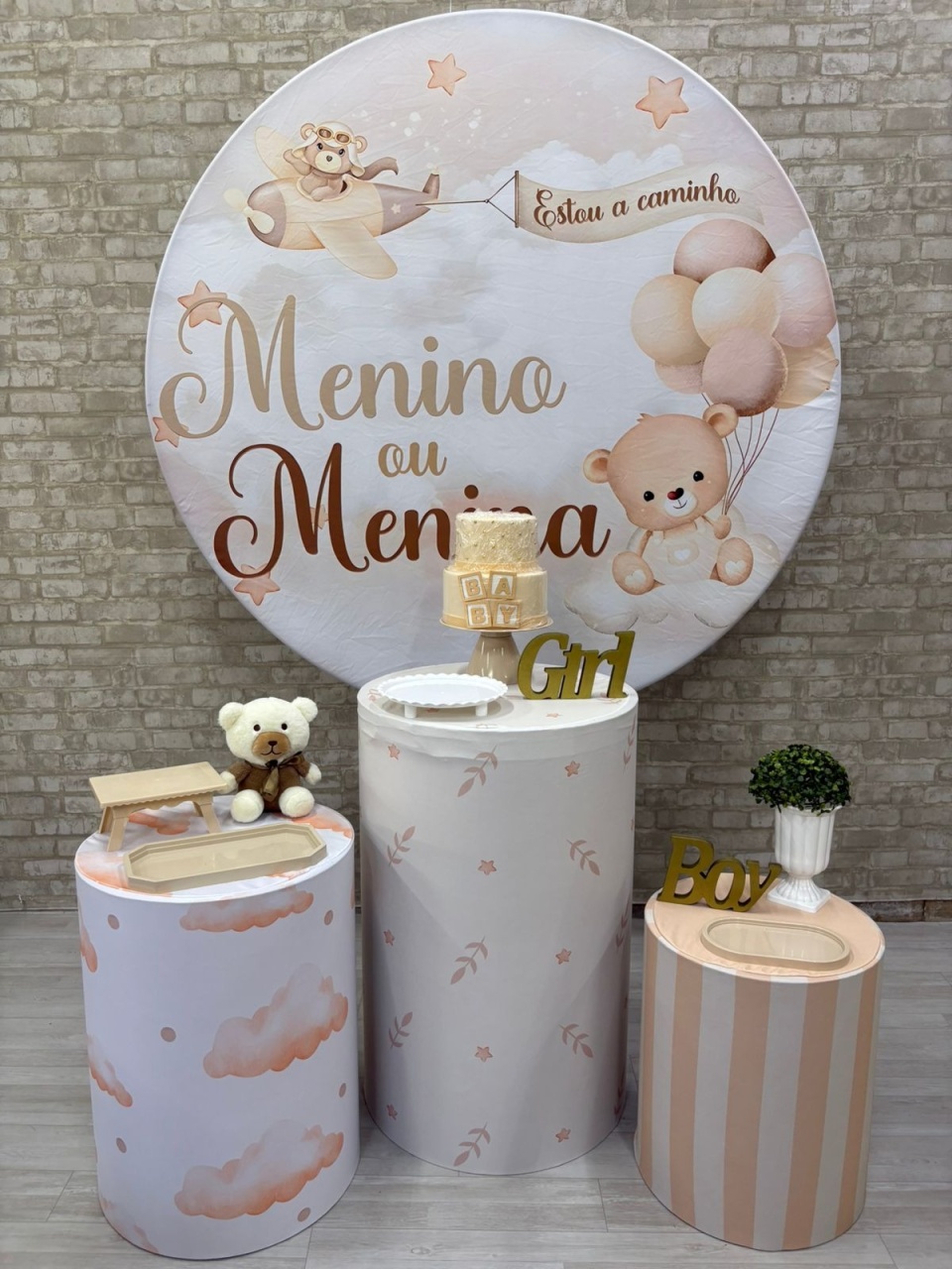 Menino Ou Menina  Kit Prata     - Iara Maria Arruda da Silva